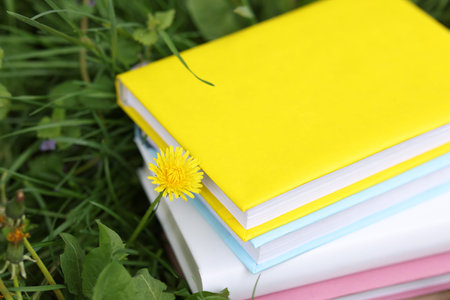 Stacked books on green grass outdoors, closeupの写真素材