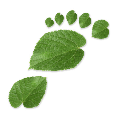 Human footprint made of green leaves on white background, top view. Environmental care, ecology protection, reducing CO2 emissionの写真素材
