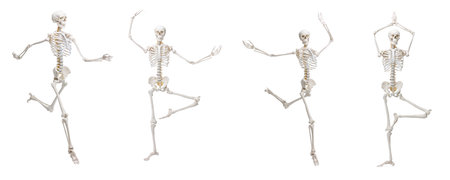 Artificial human skeleton model in different poses isolated on white, setの写真素材
