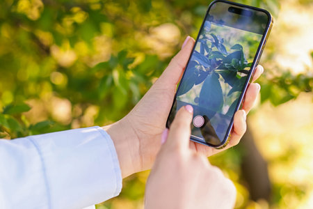 Woman using plant recognition application on smartphone outdoors, closeup