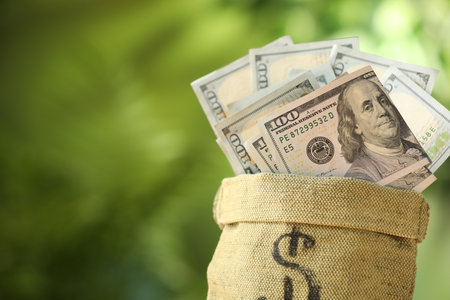 Money bag with dollar sign and banknotes on blurred green background, closeup. Space for textの写真素材