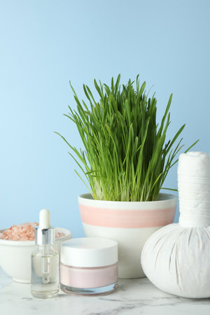 Spa composition with wheatgrass on white marble tableの写真素材