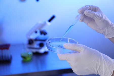 Scientist dripping liquid with pipette on Petri dish in laboratory, closeup. Space for text