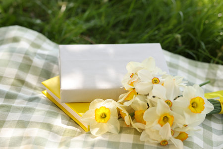 Stacked books, daffodil flowers and blanket on green grass outdoors, closeupの写真素材