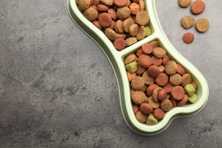 Dry pet food in feeding bowl on gray textured background, top view. Space for text
