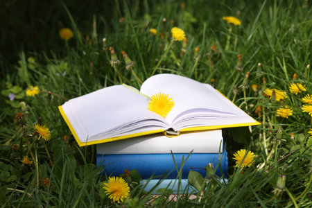 Stacked books with dandelion flowers on green grass outdoors, closeupの写真素材