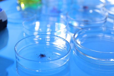 Petri dishes with samples on light blue background, closeupの写真素材