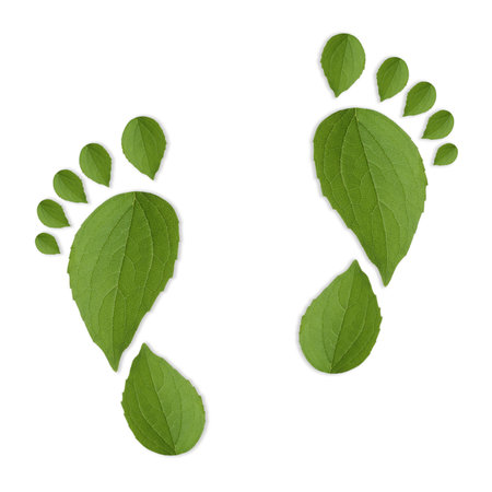 Human footprints made of green leaves on white background, top view. Environmental care, ecology protection, reducing CO2 emissionの写真素材