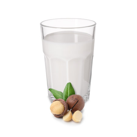 Nut milk in glass and macadamias isolated on whiteの写真素材