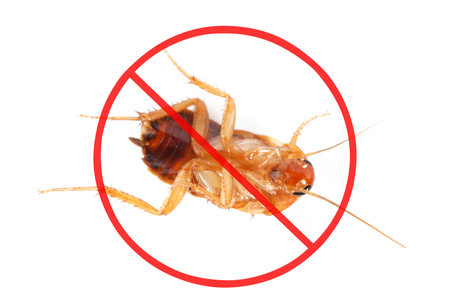 Pest control. Cockroach with red prohibition sign on white background