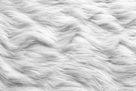 Texture of white furry fabric as background, closeupの写真素材