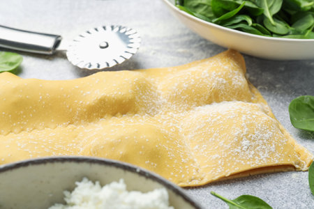Uncooked ravioli, cottage cheese and spinach on light table, closeupの写真素材