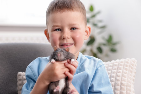 Little boy with his pet rat on sofa at homeの写真素材