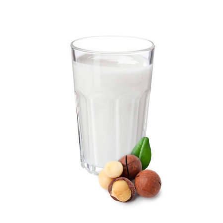 Nut milk in glass and macadamias isolated on whiteの写真素材