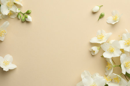 Beautiful jasmine flowers on beige background, flat lay. Space for textの写真素材