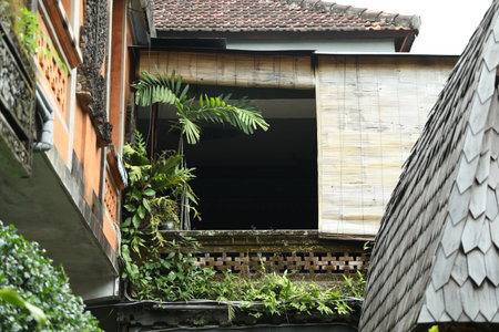 Beautiful building covered with green plants outdoors, low angle viewの写真素材