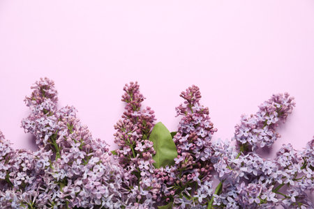 Beautiful lilac flowers on pink background, flat lay. Space for textの写真素材