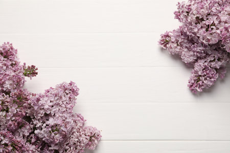 Beautiful lilac flowers on white wooden table, flat lay. Space for textの写真素材