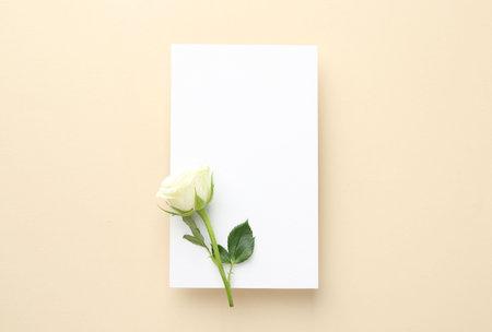 Blank invitation card and flower on beige background, top viewの写真素材
