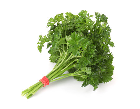 Bunch of fresh parsley isolated on whiteの写真素材