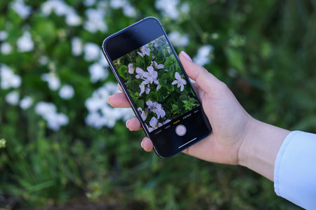 Woman using plant recognition application on smartphone outdoors, closeupの写真素材