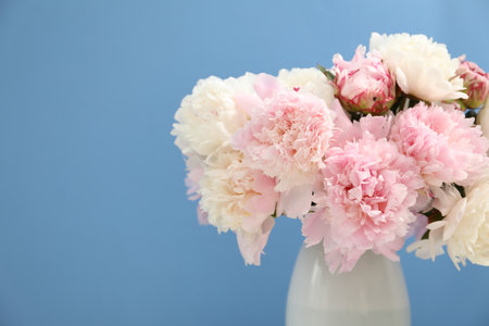 Beautiful peonies in vase on light blue background, closeup. Space for textの写真素材