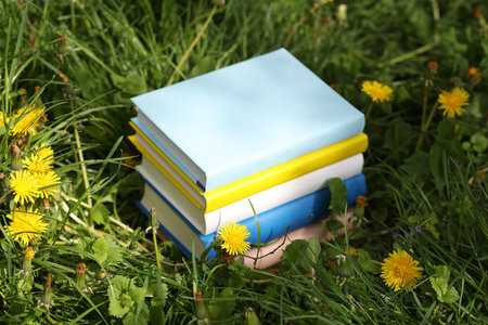 Different stacked books on green grass outdoorsの写真素材