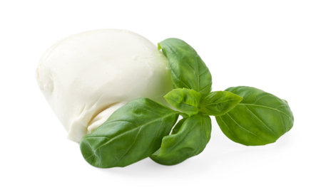 Tasty mozzarella cheese and basil isolated on whiteの写真素材
