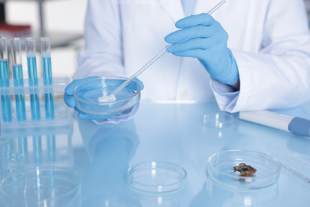 Scientist working with sample in Petri dish at table in laboratory, closeup
