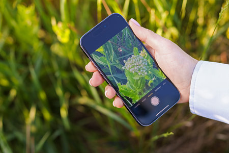 Woman using plant recognition application on smartphone outdoors, closeup