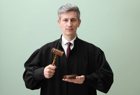 Judge with mallet and sound block on green background