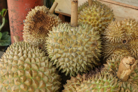 Fresh ripe durians at market, closeup view