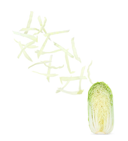 Fresh cut leaves flying out from Chinese cabbage on white backgroundの写真素材