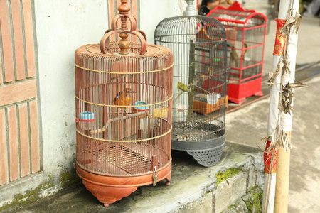 Beautiful birds in cages on market outdoorsの写真素材