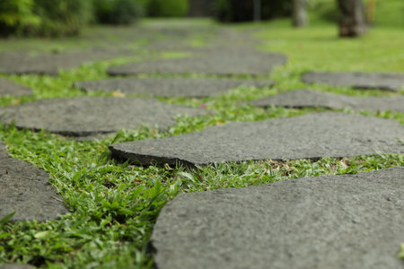 Stone walkway with green grass outdoors, closeupの写真素材