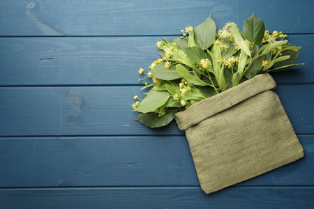 Branches with linden flowers and green leaves in sack on blue wooden table, top view. Space for textの写真素材