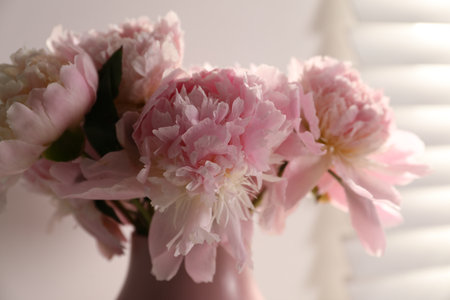 Bouquet of beautiful peonies in vase indoors, closeupの写真素材