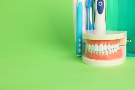 Different oral care products and dental model on green background, closeup. Space for textの写真素材