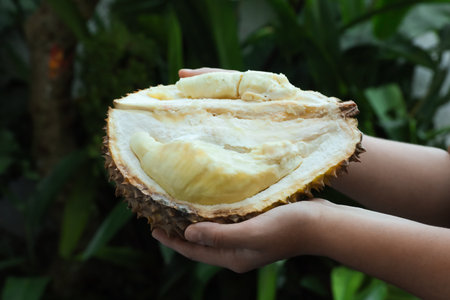 Woman with fresh ripe durian outdoors, closeup
