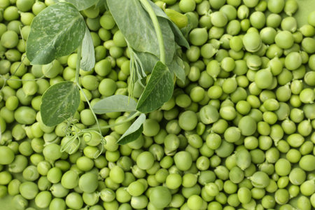 Pile of fresh green peas and leaves as background, top viewの写真素材
