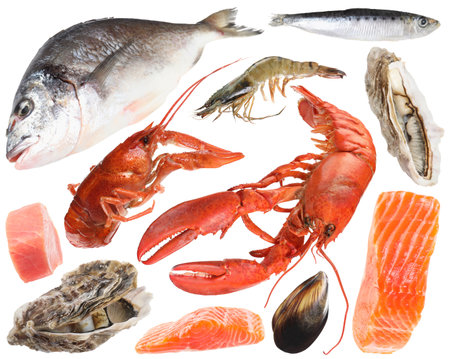 Different fresh sea food on white background, collageの写真素材