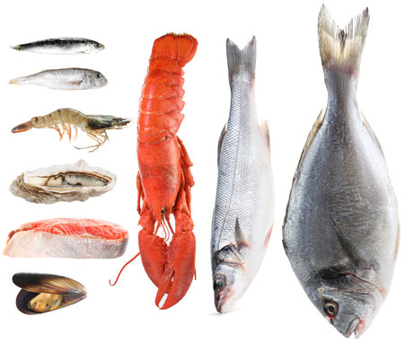 Different fresh sea food on white background, collageの写真素材