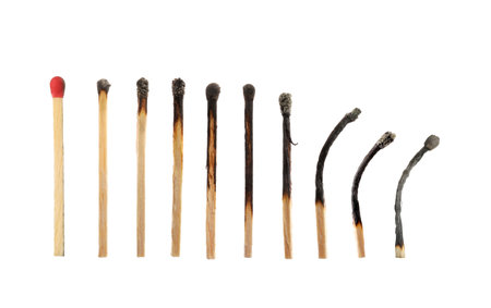 Burnt matches and whole one on white background