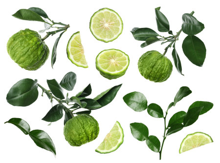 Fresh ripe bergamot fruits and green leaves on white background, collageの写真素材