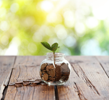 Investment for future profit. Glass jar with coins and seedling on wooden table outdoors