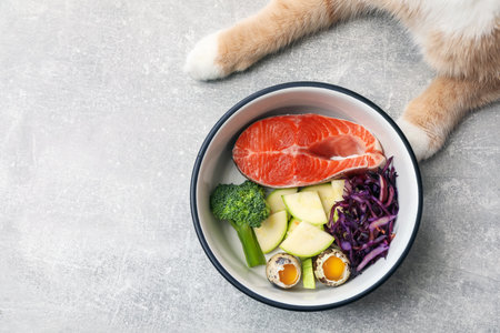 Cat with bowl full of raw natural products on light floor, top view and space for text. Pet's balanced dietの写真素材