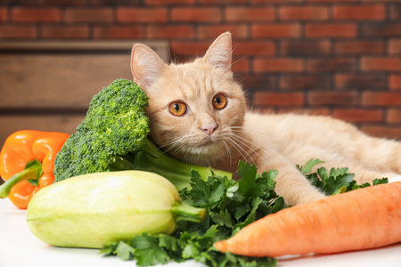 Cat and different vegetables on white table indoors. Pet's balanced dietの写真素材