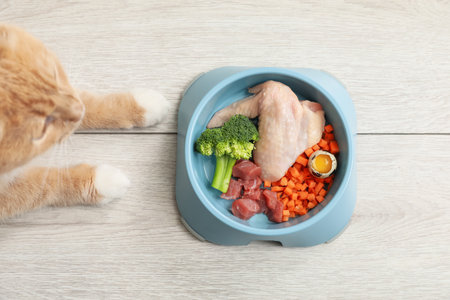 Cat with bowl full of raw natural products on white wooden floor, top view. Pet's balanced dietの写真素材