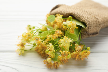 Branches with linden flowers and green leaves in sack on white wooden table, closeupの写真素材