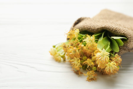 Branches with linden flowers and green leaves in sack on white wooden table, closeup. Space for textの写真素材